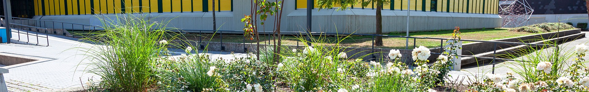 peter-rose-header-realschule
